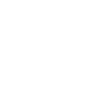 outline icon of a shop